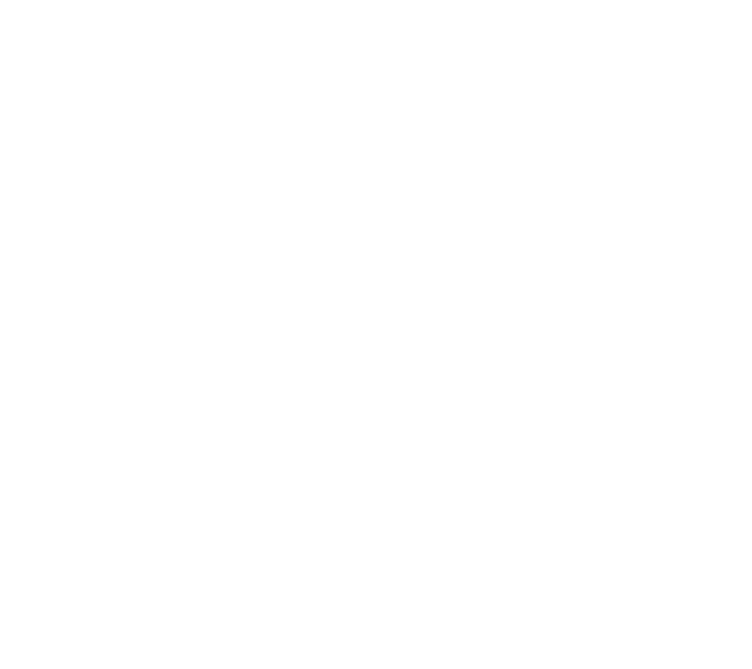 Escudo Roca Dragón